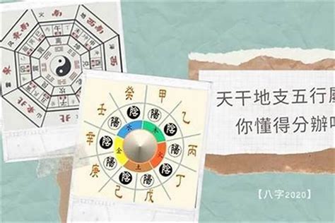 喜神是金|喜用神为金 喜用神为金怎么旺自己